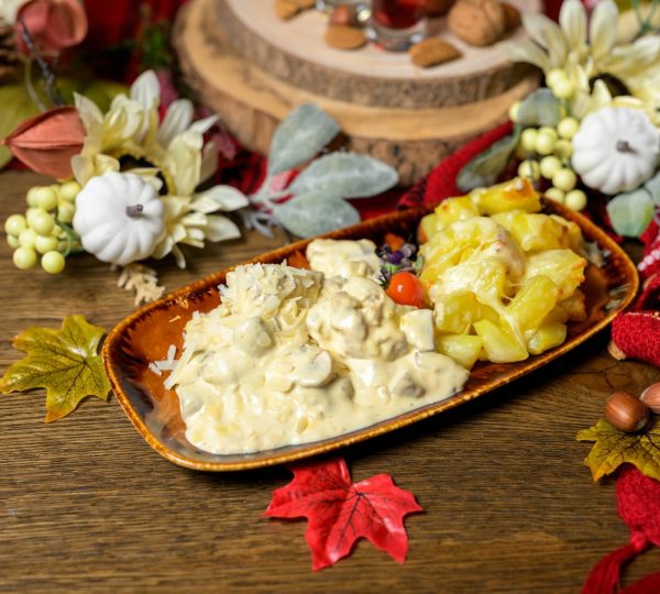 558172328 1196932755814655 8620336614980511876 N 600x540